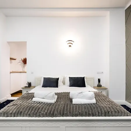 Apartment Central In Piata Romana *